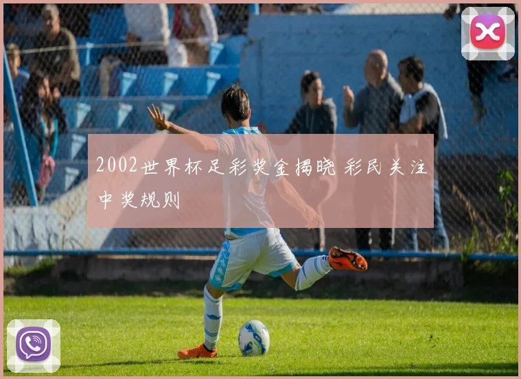 2002世界杯足彩奖金揭晓 彩民关注中奖规则